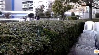贫困申请书约炮 扣扣771075953强推调教内射白丝巨乳学生母狗高潮喷水